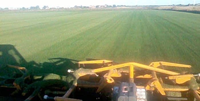 Mowing field for harvesting Huntingdon